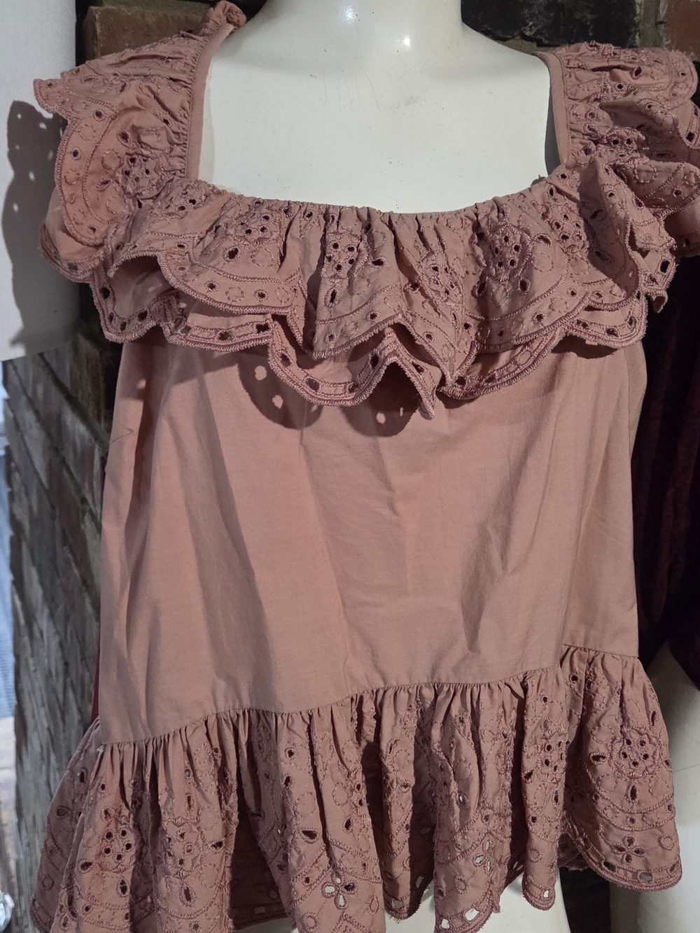 Express Dusty Rose Eyelet Ruffle Camisole